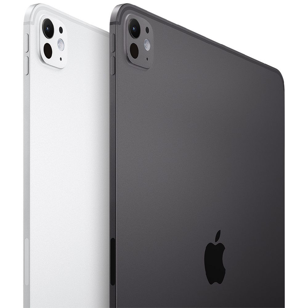 iPad Pro (M4) 11" WiFi 256GB