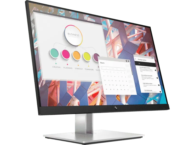 HP E24 G4 FHD Monitor